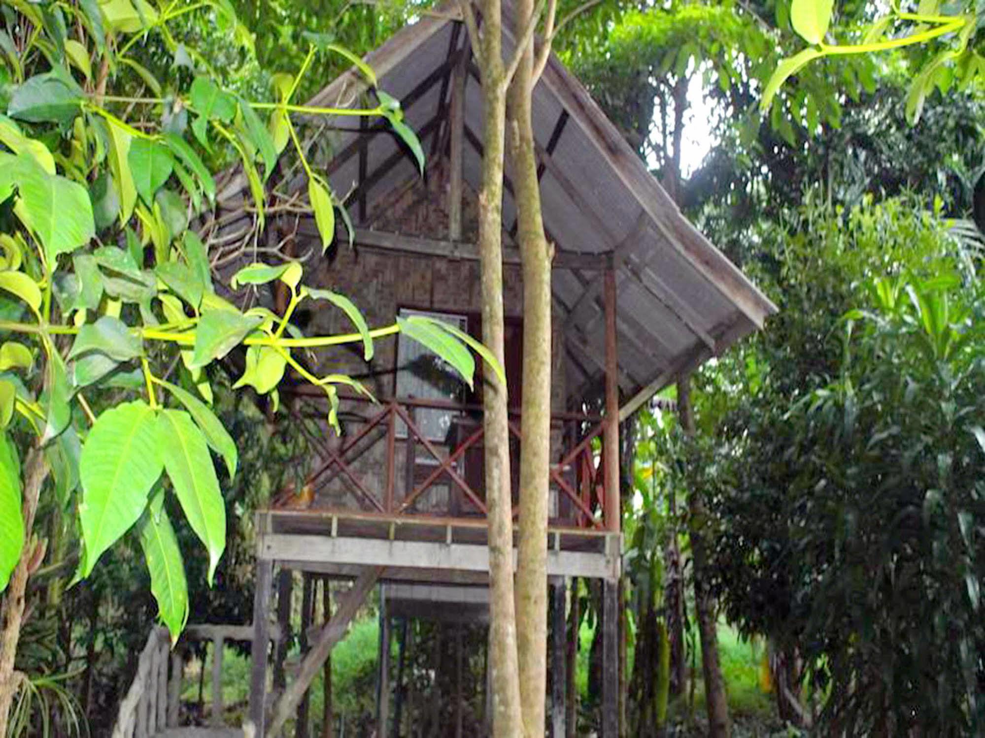 Khaosok Island Resort Khao Sok National Park Экстерьер фото