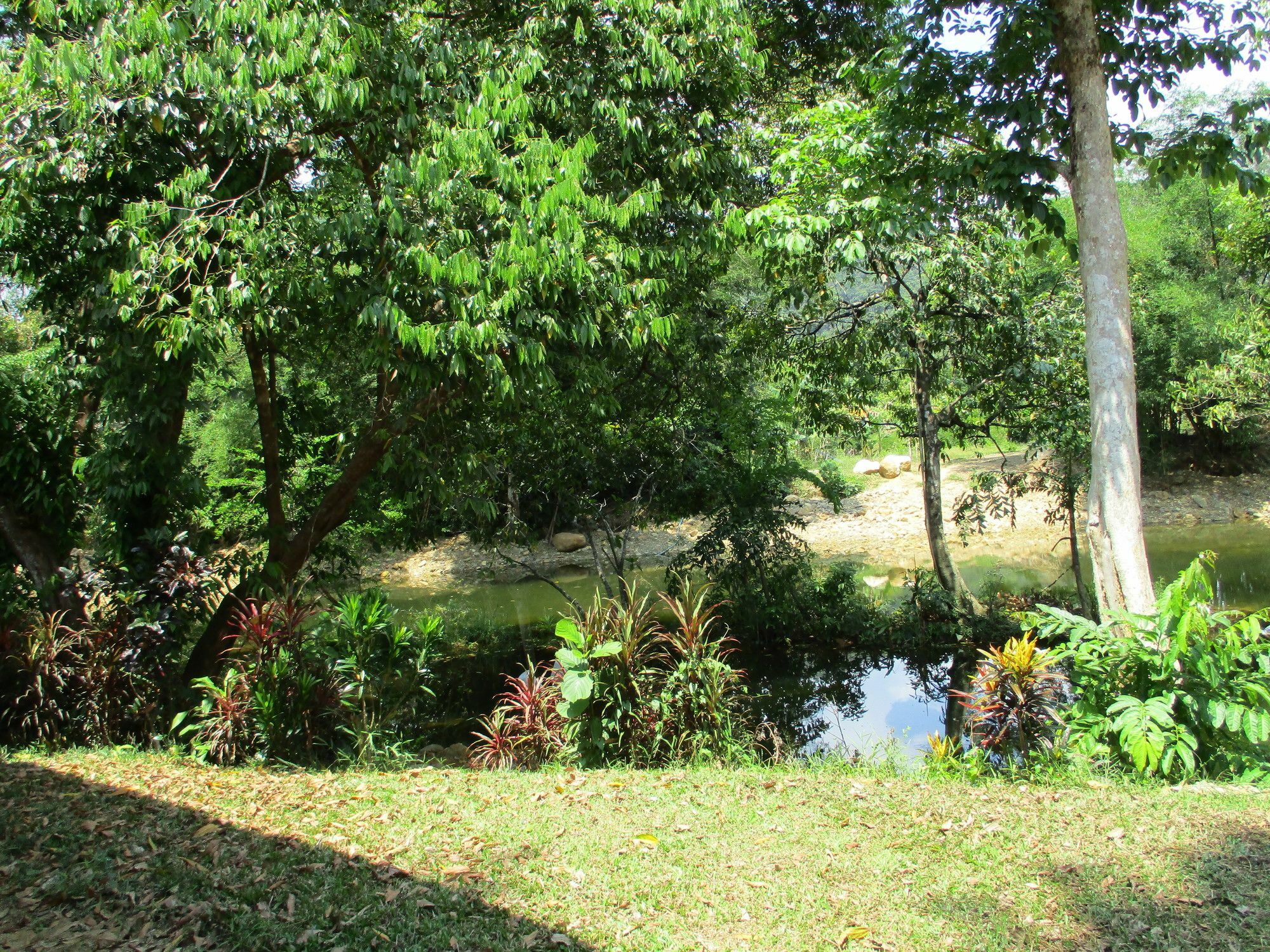 Khaosok Island Resort Khao Sok National Park Экстерьер фото